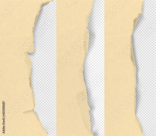 Realistic torn edge of the paper on a transparent background. Vector illustration element ready for your design. EPS10.	
