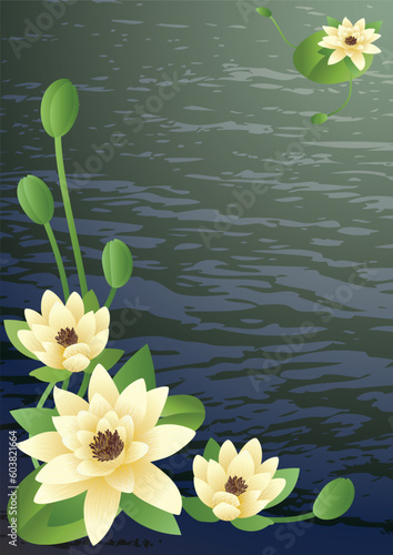Vector illustration - a pond with fine blossoming lilies