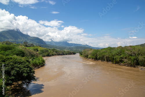river of cloudy water in latin america next to many trees and the blue sky