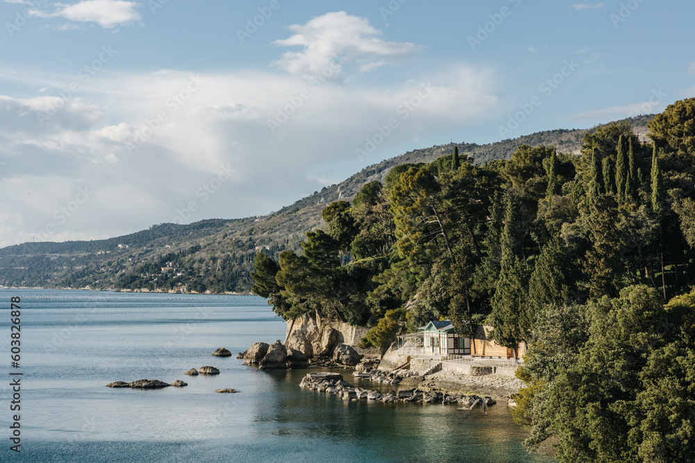 Shoreline with trees and a blue sky in northern Italy, Mediterranean landscape 