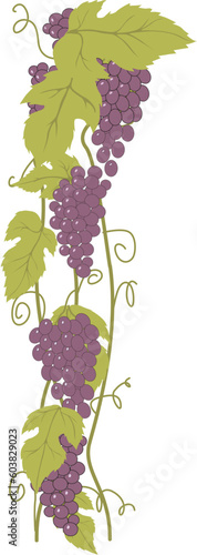 Bunch of Grapes. Design element