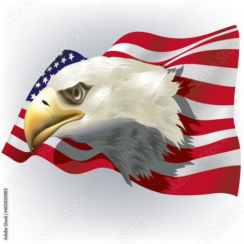 US Patriotic theme - High detailed vector illustration - bald eagle and US flag