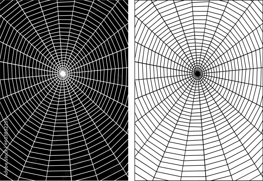Obraz premium Vector illustration of an orb spider's web