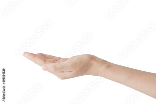 Beauty female hand. Close-up of an empty woman's hand holding something, carry it, isolated on white background.