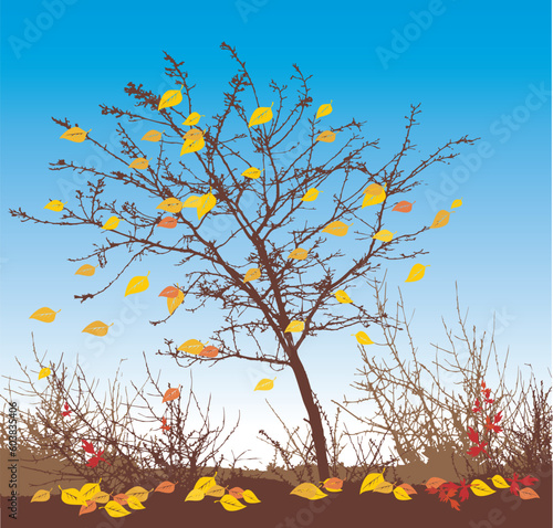 autumn vector illustration