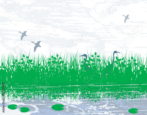 Vector illustration of birds in a wetland habitat