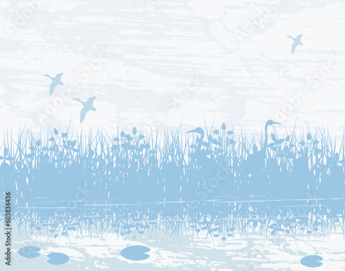 Vector illustration of birds in a natural wetland
