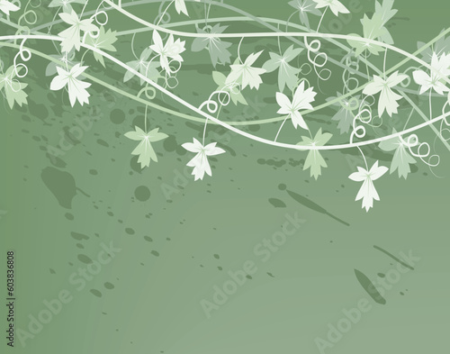 Editable vector illustration of a generic vine bush