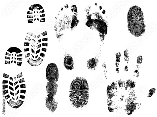 A collections of Vector HandPrints, Fingerprints, Footprints, and Shoeprints. All grouped and on separate layers.