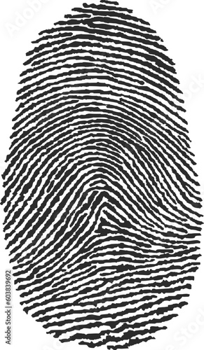 vector illustration of a fingerprint