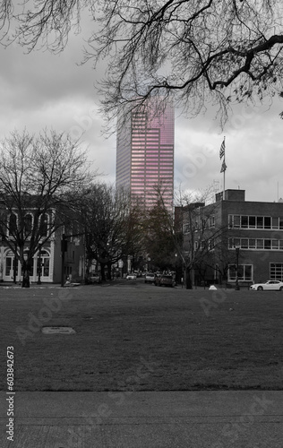 Big Pink
