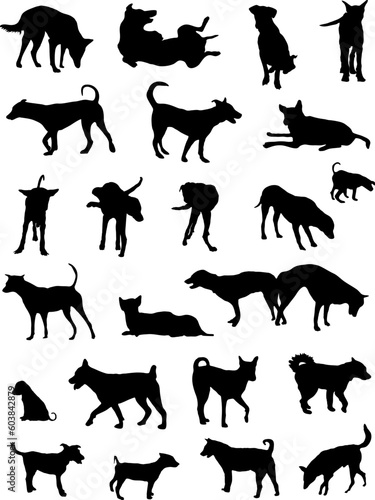 Set of vector silhouettes of generic dogs from Bangkok strays