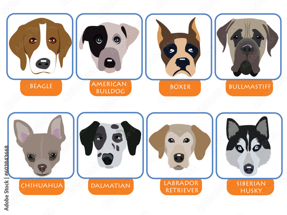Obraz premium illustration of purebred dogs, cartoon dog portraits