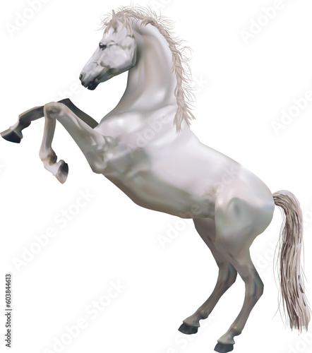 A photorealistic illustration of a horse rearing up on its hind legs. Created with meshes.
