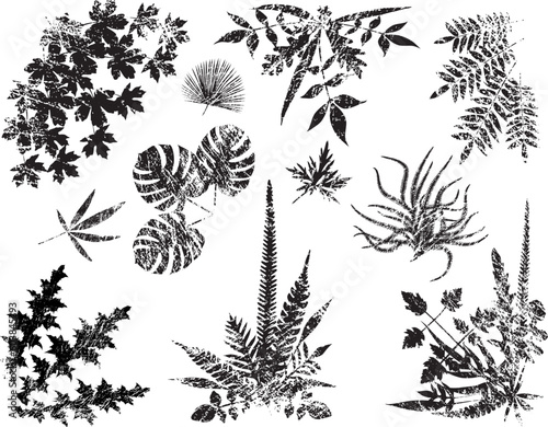 Collection of vector leaf elements with grunge