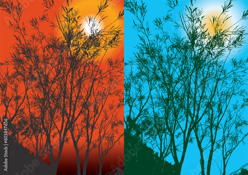 Silhouette of tree on a summer day and night