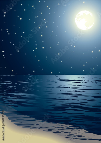Vector illustration - the seacoast shined by the full moon