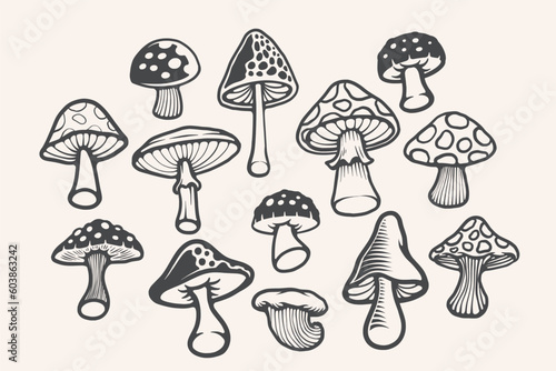 Hand drawn natural mushroom illustration design