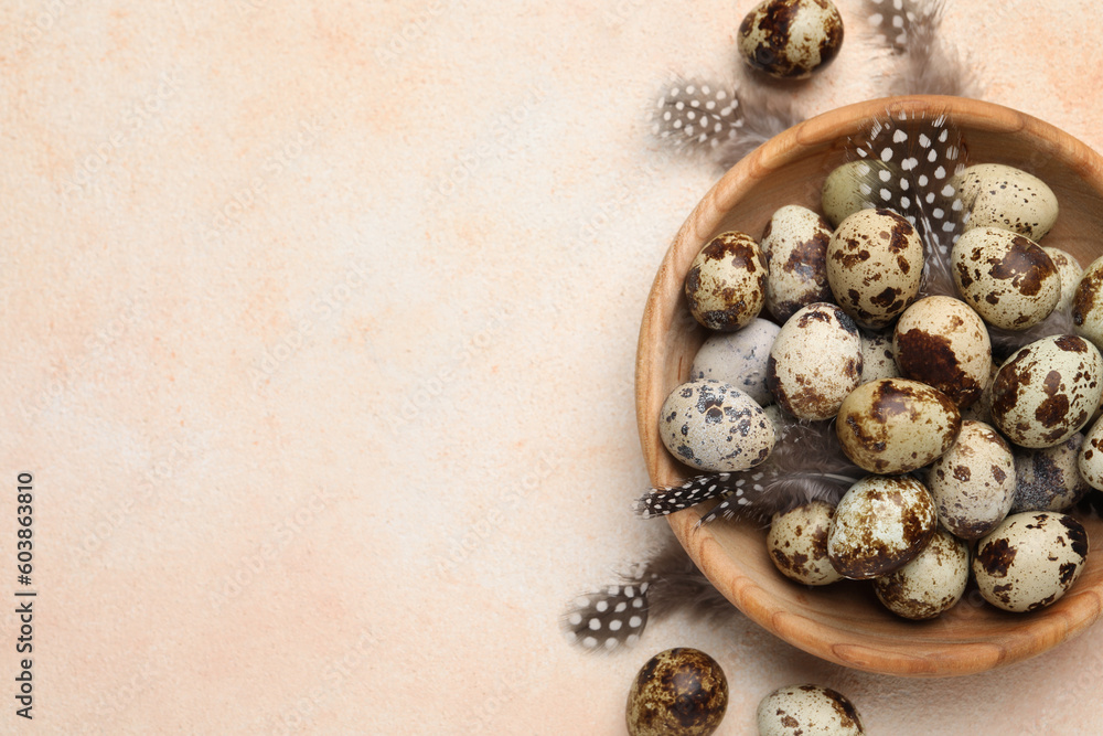 Speckled quail eggs and feathers on beige background, flat lay. Space for text