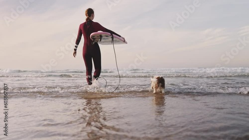 Woman going With her Buddy Dog to The Atlantic Ocean with a surf board. Cavalier King Charles Spaniel puppy enjoying sunny sunset outdoors, ready to catch a wave with his buddy. Pet and owner love. photo