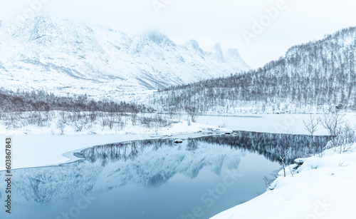 winter mountain reflections