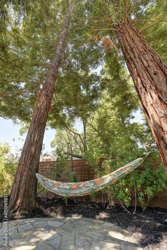hammock in the woods