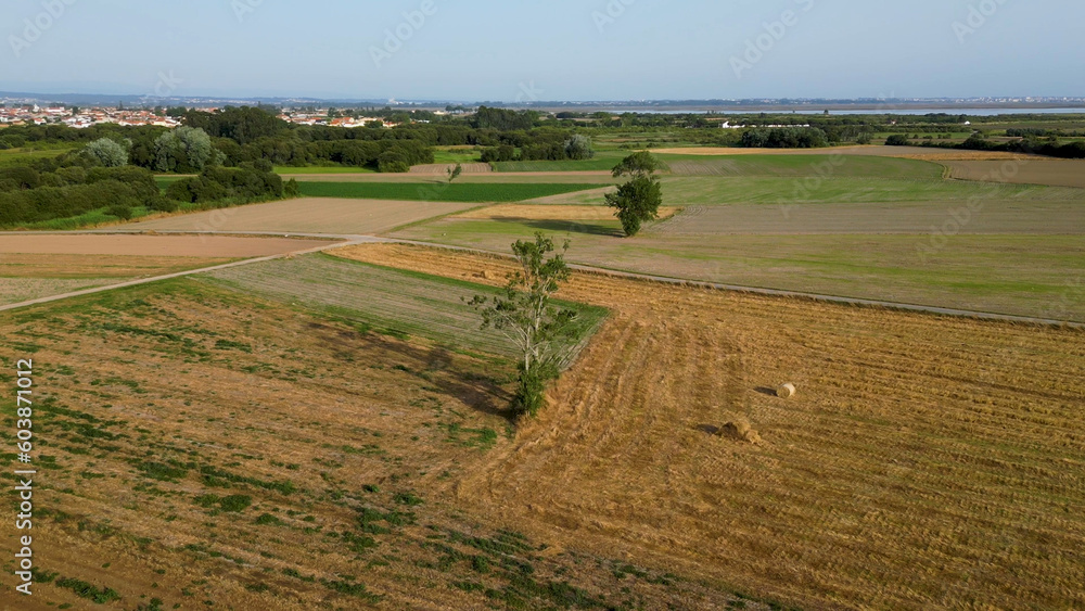 Aerial View of rural landscape