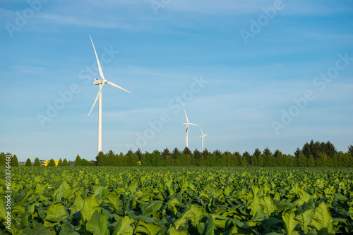 Close view of onshore horizontal axis wind turbine (windmill) in green field, deep blue sky, sunny day. Ontario Canada. Replenishable green renewable alternative energy and natural sources concept. photo