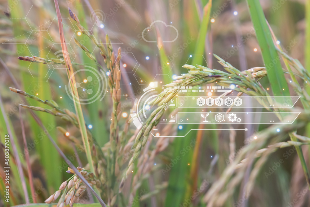 Smart farm digital icon and futuristic AI data infographic of Landscape ...