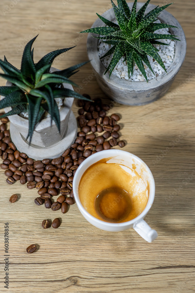Cup of coffee and plant pot on wooden table Cup of coffee and plant pot on wooden table