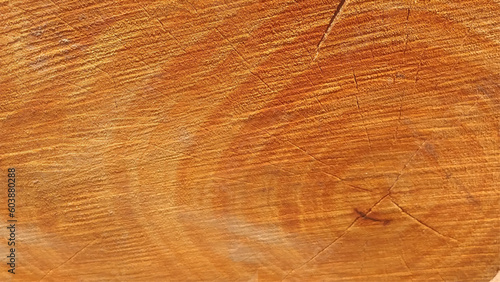 high-quality wood grain with a luxurious pattern. boardwalk background