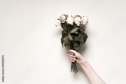 bouquet of roses © Martin Matyas