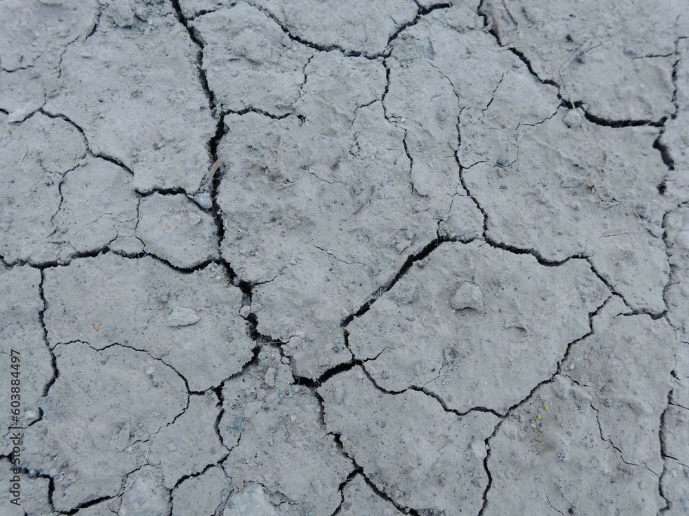 Obraz premium ひび割れ