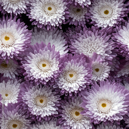Seamless texture pattern of lilac white aster flowers. AI Generation 