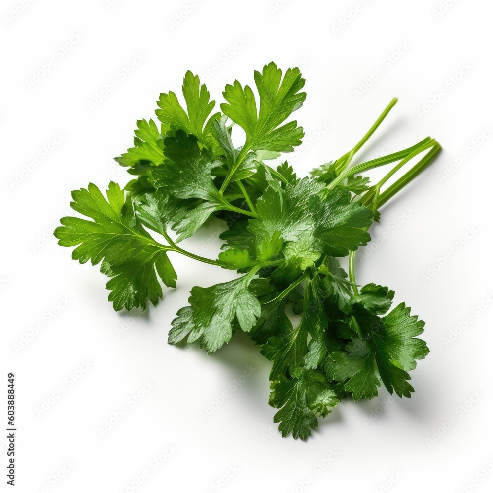 Parsley isolated on white background (generative AI) Parsley isolated on white background (generative AI)