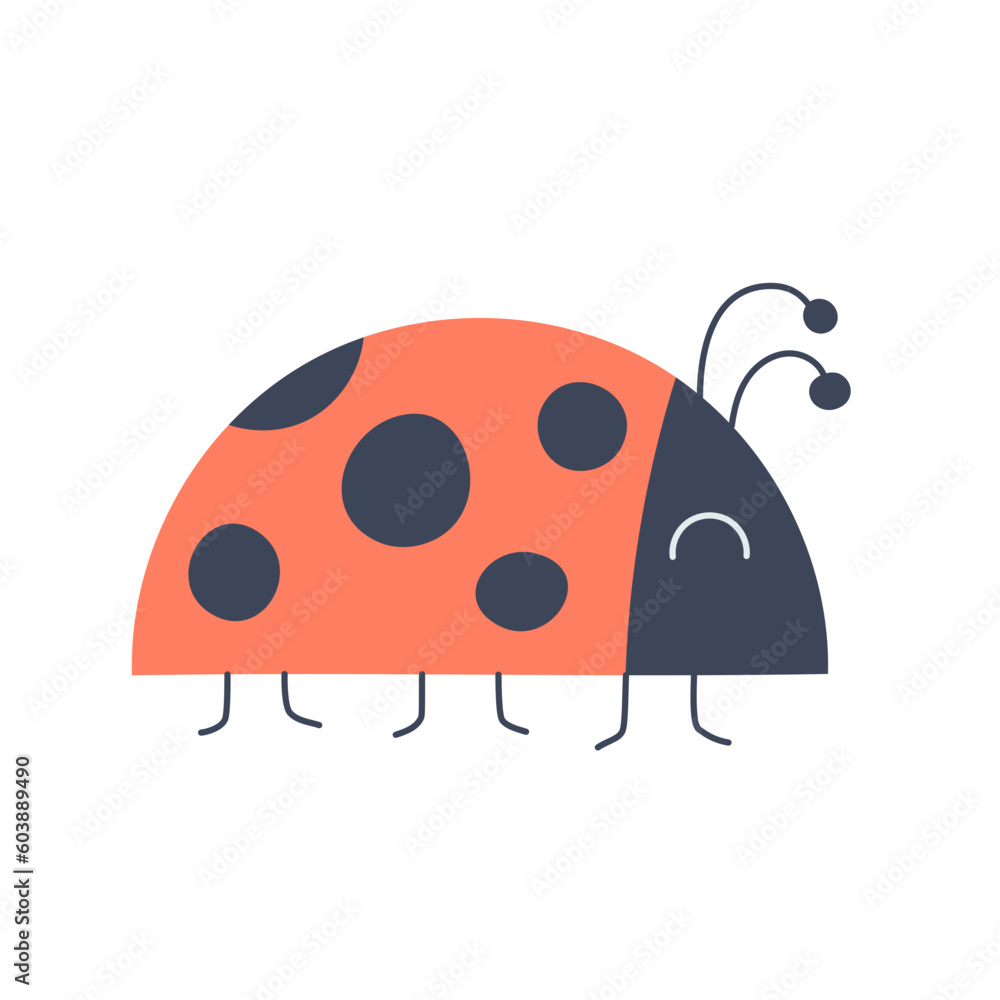 Obraz premium ladybug