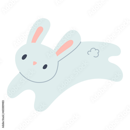 rabbit