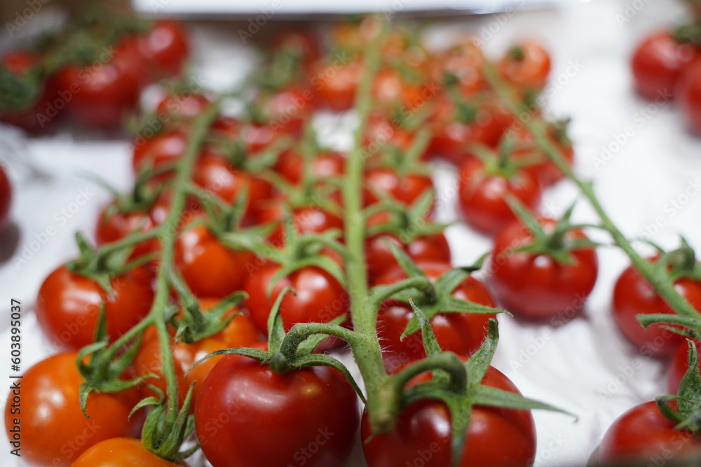 Fresh selected tomatoes in wooden boxes on sale. Fresh selected tomatoes in wooden boxes on sale.