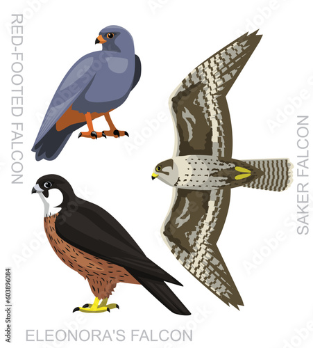 Cute Bird Saker Falcon Set Cartoon Vector
 photo