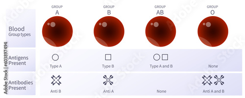 Red Blood cell group type. Antigens and antibodies compatibility. Can give blood to. Can receive from. Donor and recipient. Universal group and Blood group chart. Blood group table  