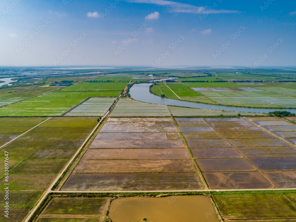 Aerial photography of green rice fields in the farm