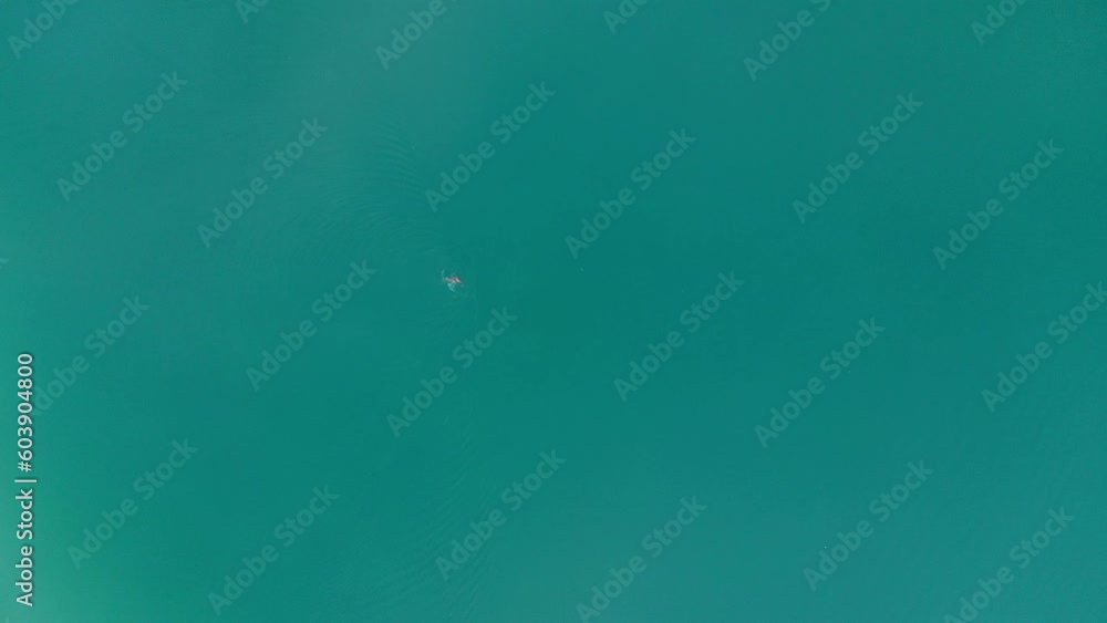 Aerial top down, person treading water alone in crystal clear turquoise lake surface Aerial top down, person treading water alone in crystal clear turquoise lake surface