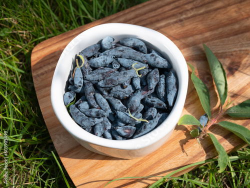 White bowl of honeysuckle berries on wooden board on green grass, close up, top view. Morning healthy snack photo