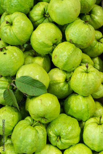 Food Background. Delicious fruits for sale in the market. Closeup fresh guavas. A lots of guava. © Thirawatana