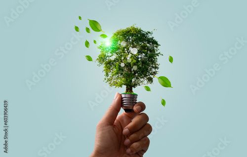 Tree light bulb glowing hold in hand on blue background. Concept of saving electricity