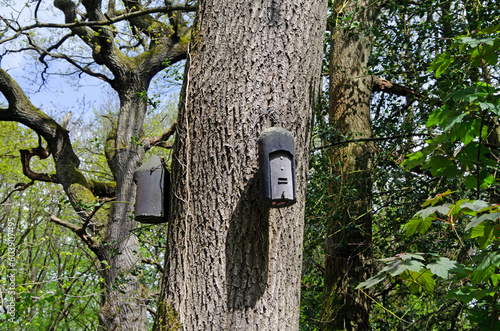 Woodcrete bat box hanging on a tree