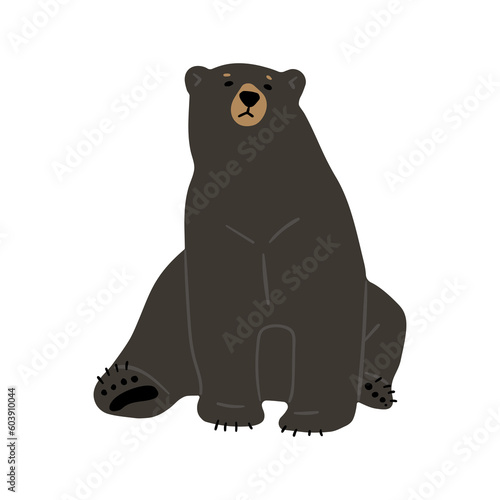 American Black Bear Single cute   png illustration