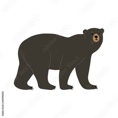 American Black Bear cute 2  png illustration