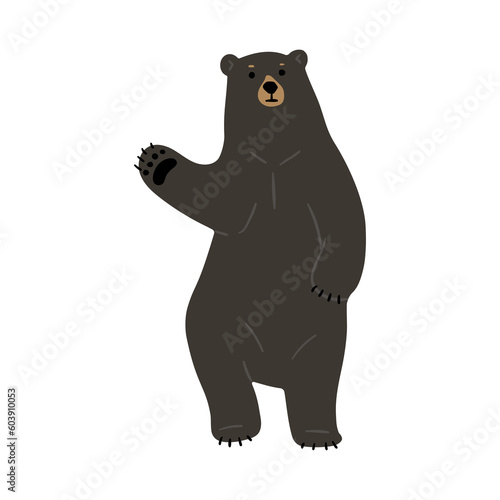 American Black Bear Single cute 6  png illustration