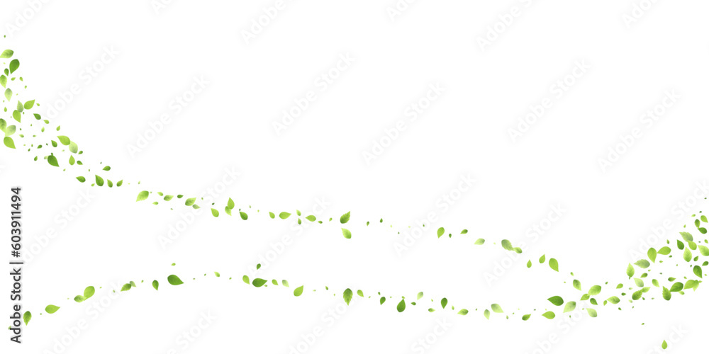 Leaves Green Falling Flying Foliage Leaf Tea Mint Leaves Green Falling Flying Foliage Leaf Tea Mint